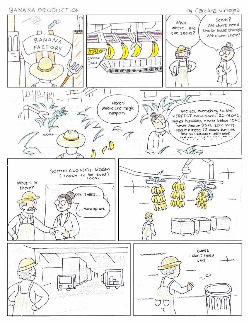 That's Bananas!, page 8