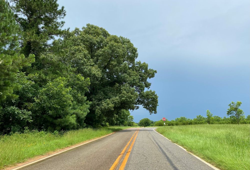 A two-lane country road between woods and a green field, with a stop sign at the crossroads ahead